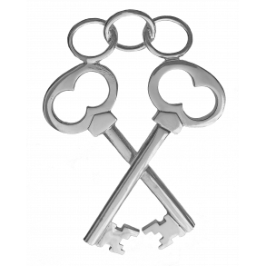 Insignie skatmester  brdre