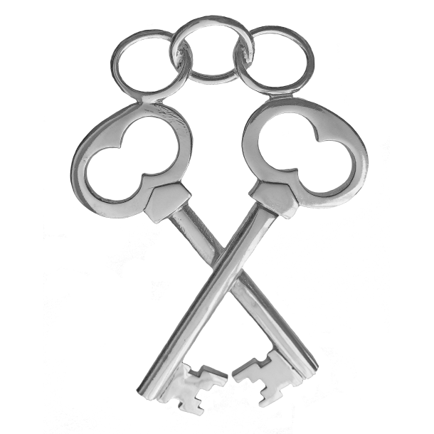 Insignie skatmester  brdre