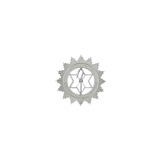 Insignie anden assisterende matriark  matriarker